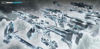 Cryostasis bundle