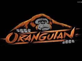 New Valorant Roster from Orangutan Esports Include Former Enigma Players