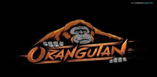 New Valorant Roster from Orangutan Esports Include Former Enigma Players