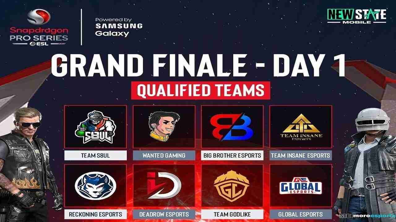 PUBG New State Pro Series Grand Finals