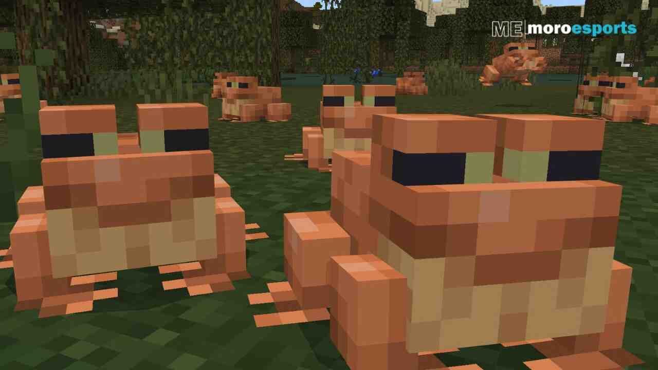How to Find and Bredd Frogs in Minecraft?