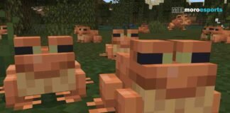 How to Find and Bredd Frogs in Minecraft?