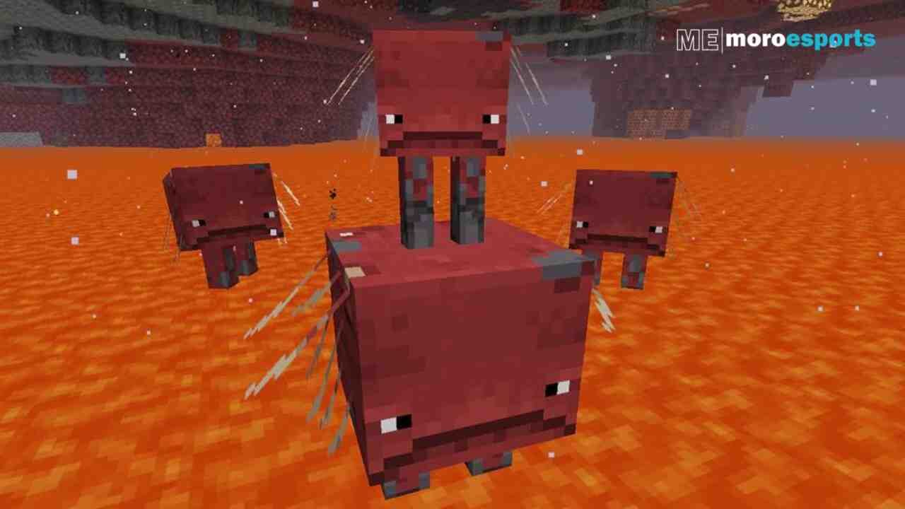 How to Breed, Ride Strider, and Move on Lava in Minecraft?