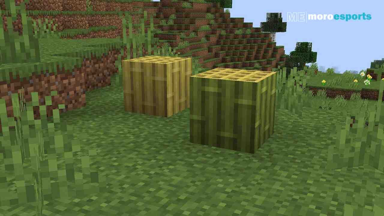 How to Find and Use Bamboo Wood in Minecraft?