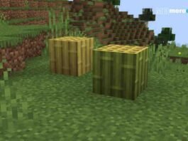 How to Find and Use Bamboo Wood in Minecraft?
