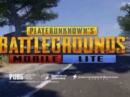 PUBG MOBILE LITE 0.24.0 APK