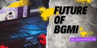 Future of BGMI