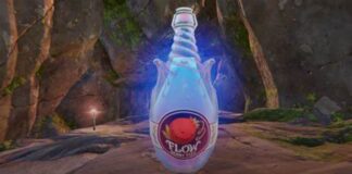 Fortnite Flowberry Fizz