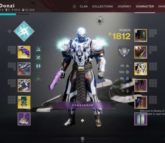 Destiny 2: Mastering Endgame Builds (PvE)